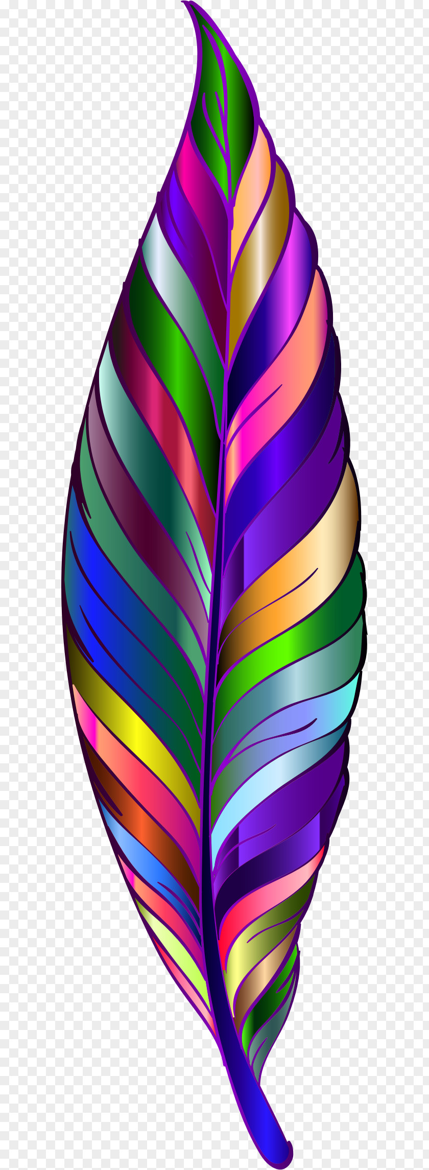 Feather Bird PNG