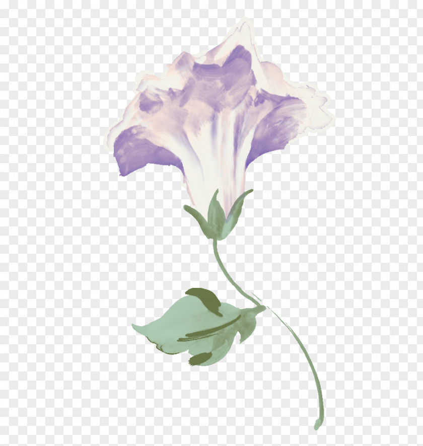 Morning Glory Flower Clip Art Image Drawing PNG