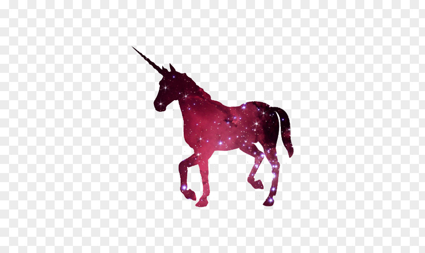 Unicorn The Black Horn Image PNG