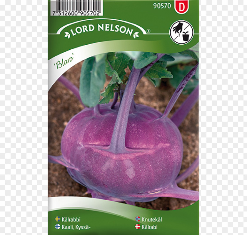 Brassica Oleracea Kale Seed Всхожесть семян Brussels Sprout .fi PNG