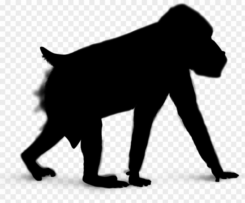 Gorilla Vector Graphics Silhouette Clip Art Royalty-free PNG
