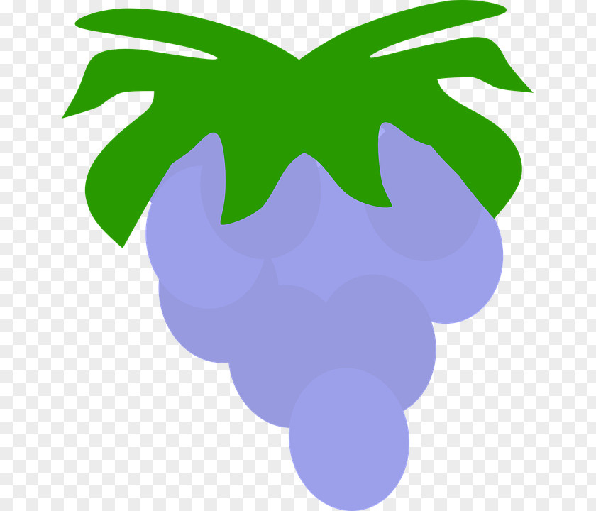 Grape Clip Art Fruit Vector Graphics Image PNG