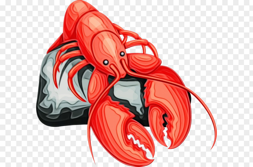 Seafood Lobster Red Footwear PNG