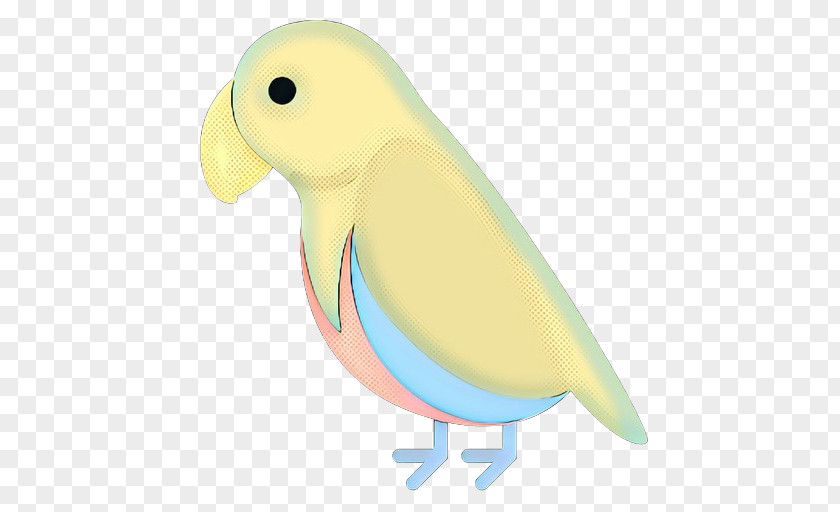 Budgie Cartoon Bird Parrot Parakeet Beak PNG