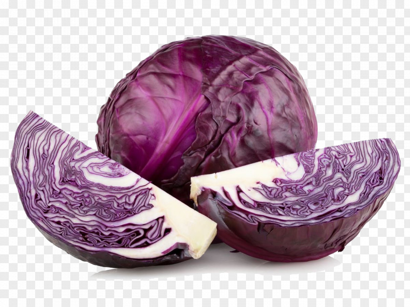 Cabbage Red Wine Organic Food Vegetable PNG