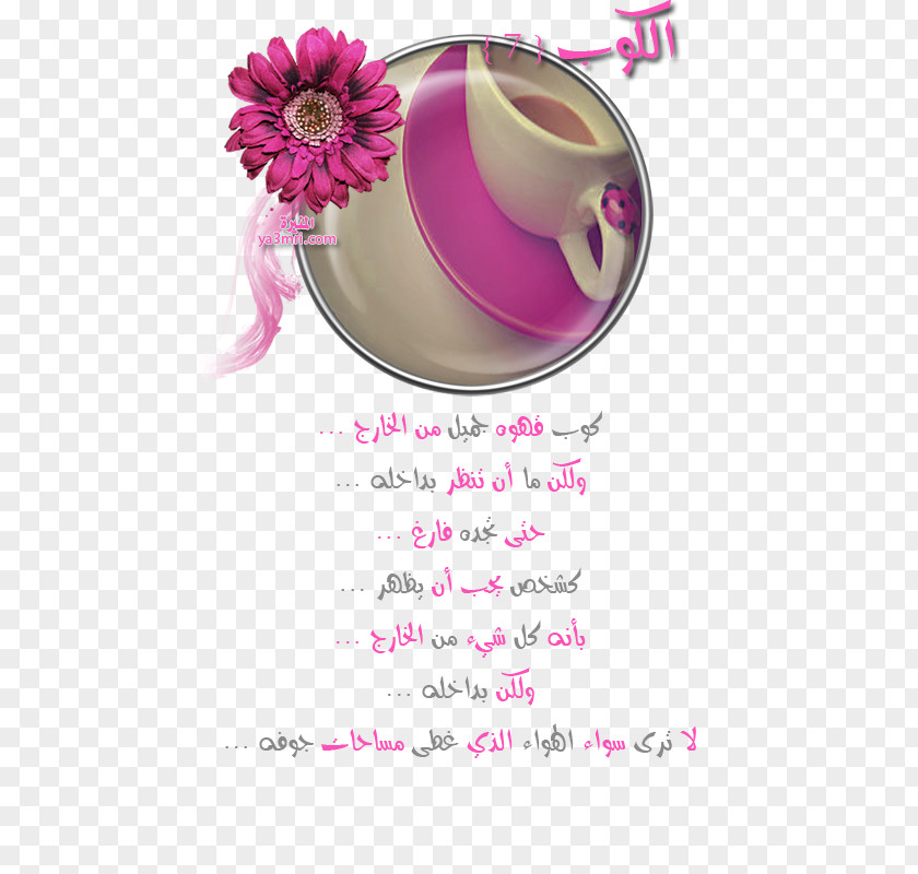 Coffee Cup وادي فاطمة Person Evaluation PNG