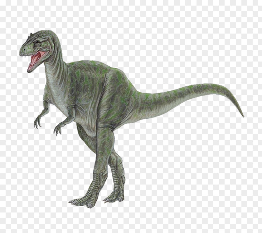 Dinosaur Tyrannosaurus Allosaurus Stegosaurus Apatosaurus PNG