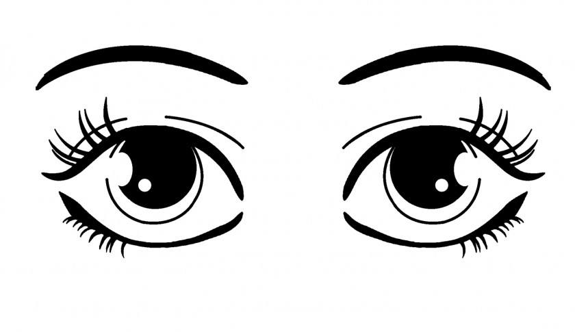 Eyes Black Eye White Clip Art PNG