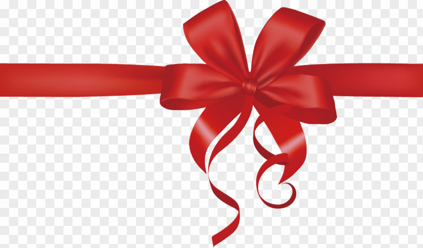 Festive Gift Bow PNG