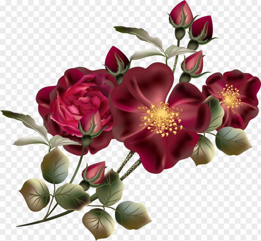 Flower Floral Design Rose Clip Art PNG