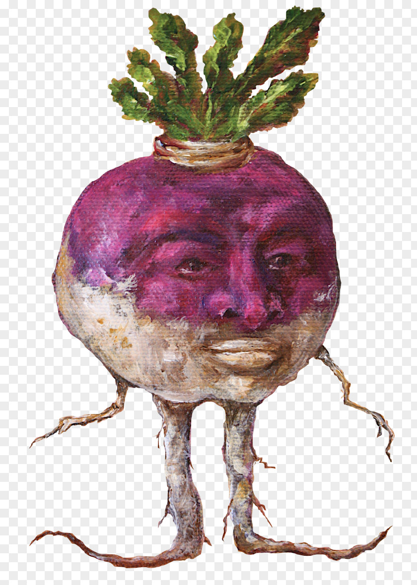 Gold Point Turnip Rutabaga Vegetable Cabbage Cooking PNG