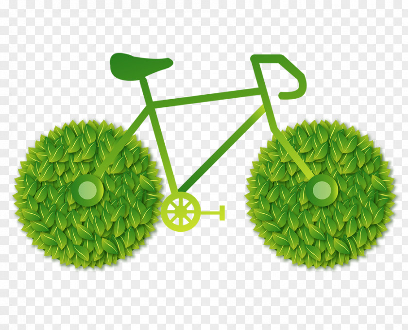 Green Bike Beijing Enshi City Bicycle Sharing System Mobike PNG