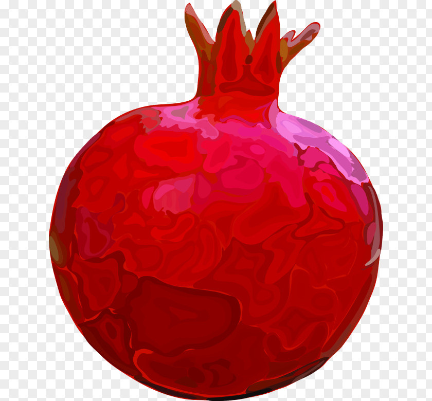 Pomegranate Fruit Red Cartoon PNG