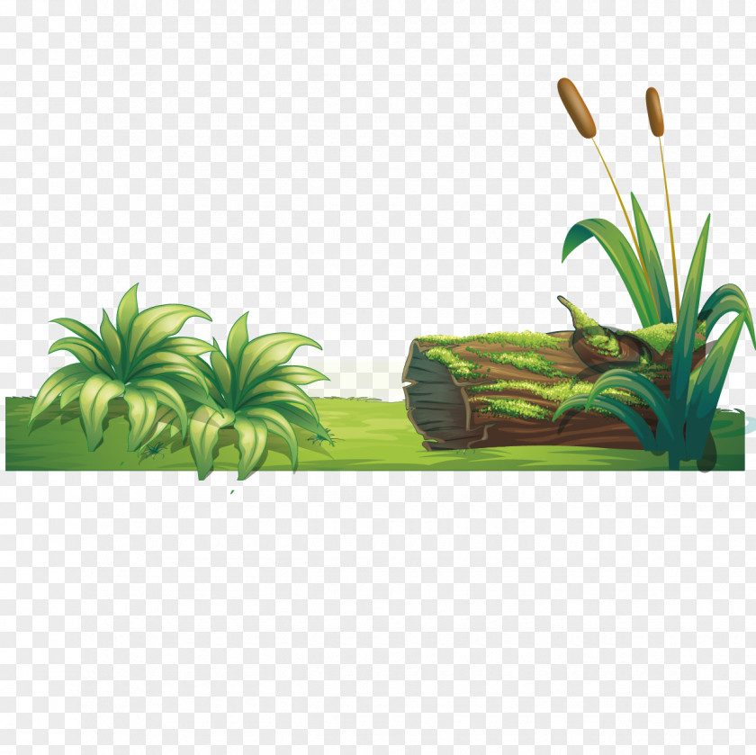 Vector Grass PNG