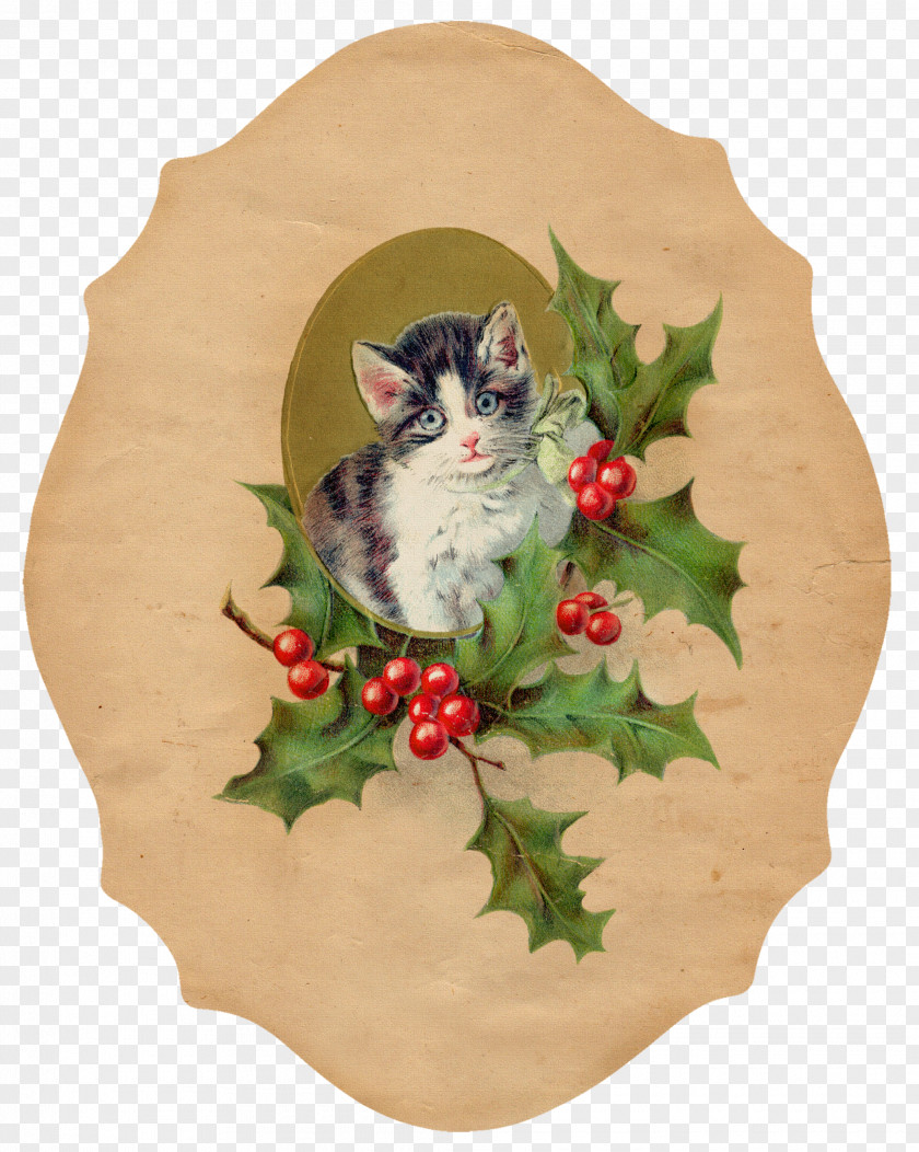 Vintage Label Cat Kitten Christmas Ornament Clip Art PNG
