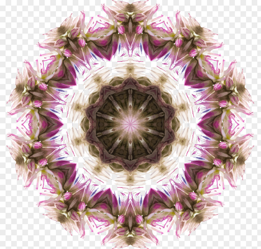 Wild Flower Kaleidoscope Clip Art PNG