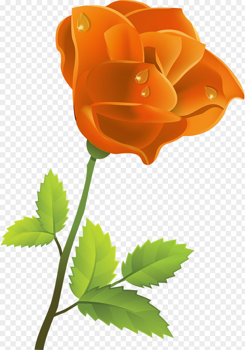 Yellow Rose Lilium Flower Clip Art PNG