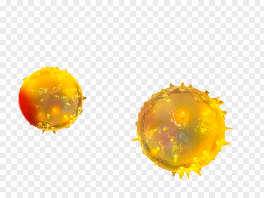 Coronavirus Disease Corona COVID19 PNG