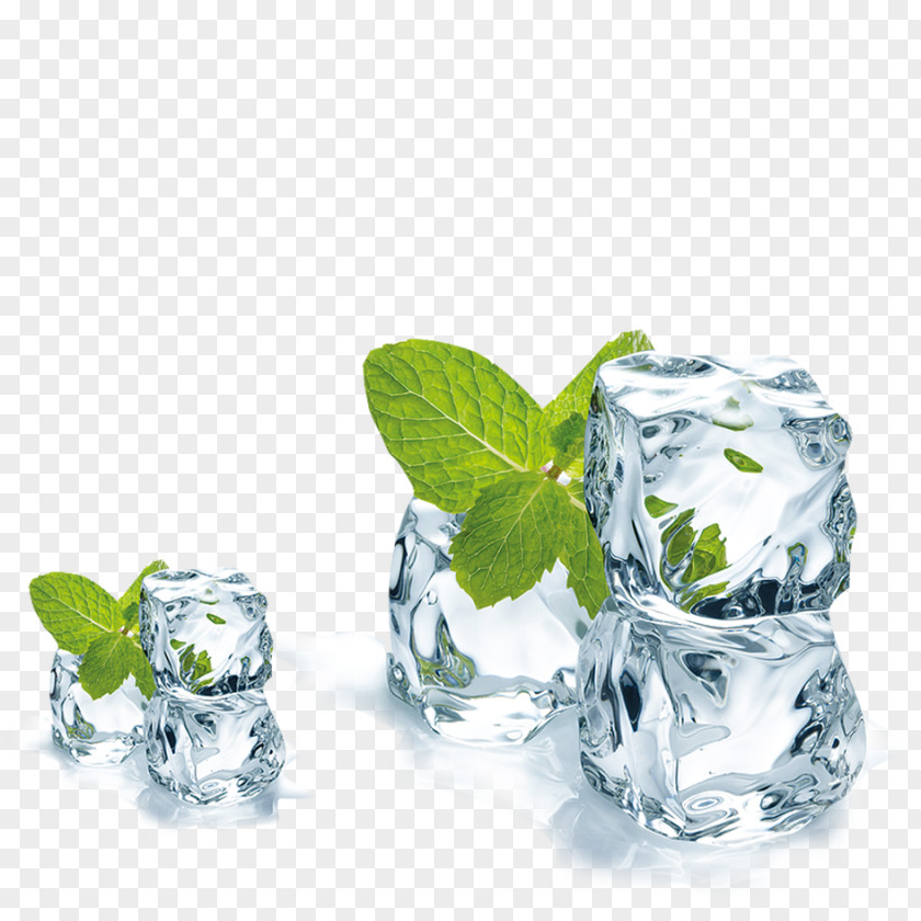 Mint Ice Juice Mentha Spicata Cube Menthol PNG