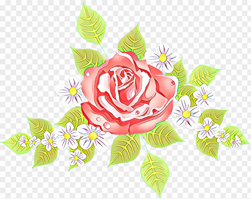 Petal Plant Garden Roses PNG