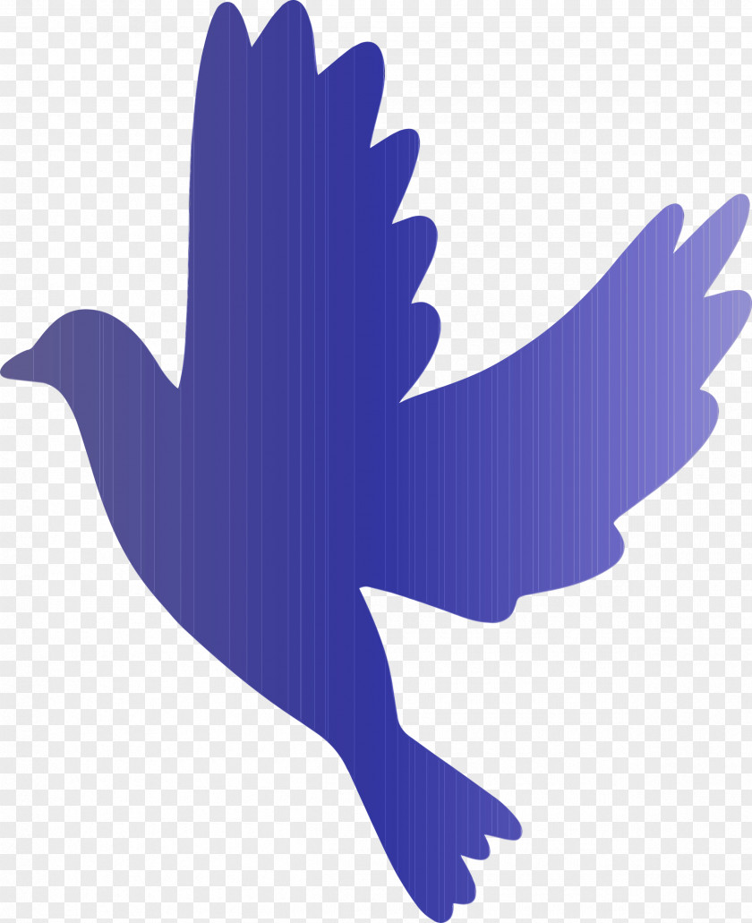 Wing Bird Electric Blue Logo Perching PNG