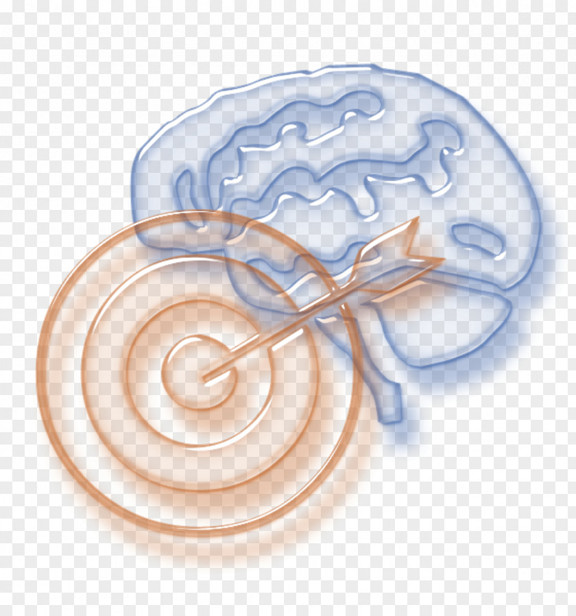 Brain Human PNG