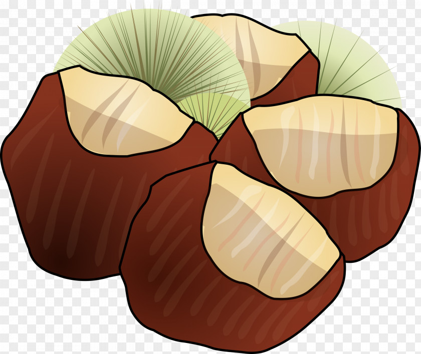 Chestnut Clip Art PNG