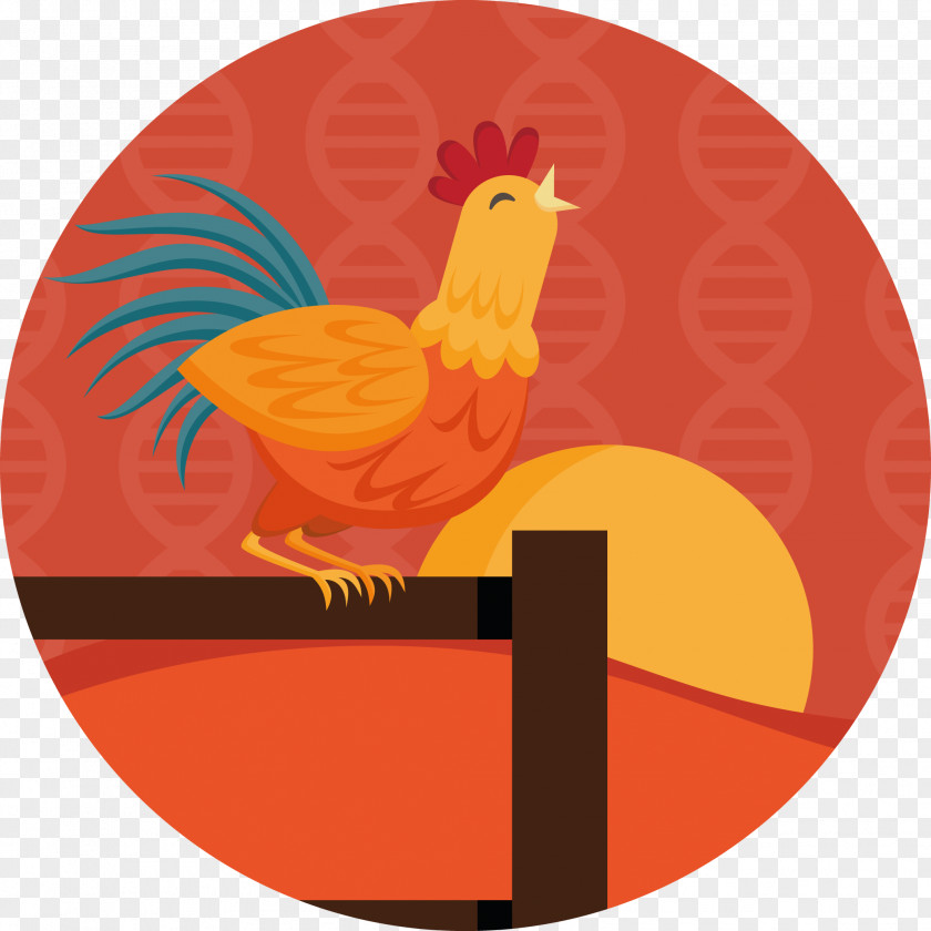 Chicken Rooster Sleep Deprivation PNG