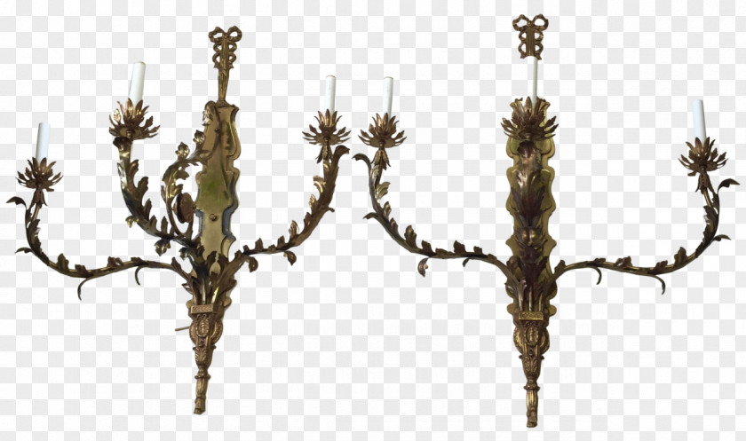 Continental Decoration Tree Branch Twig Wood Plant Stem PNG
