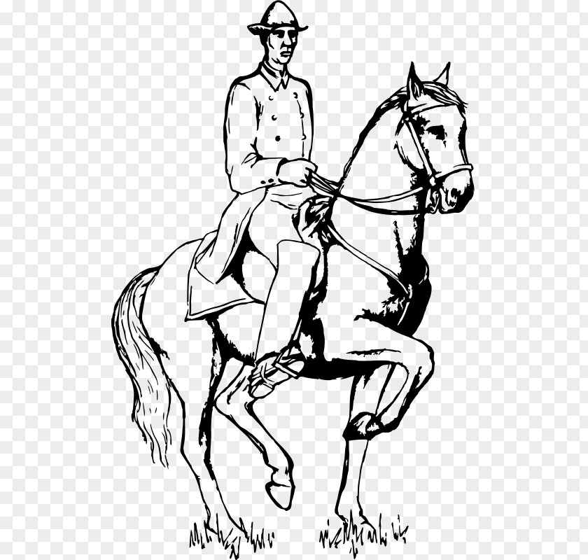 Equestrian Dressage American Quarter Horse Clip Art PNG