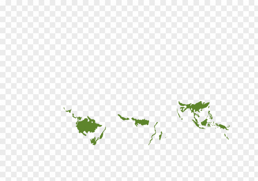 Forest World Map Die Wälder Der Welt Taiga PNG