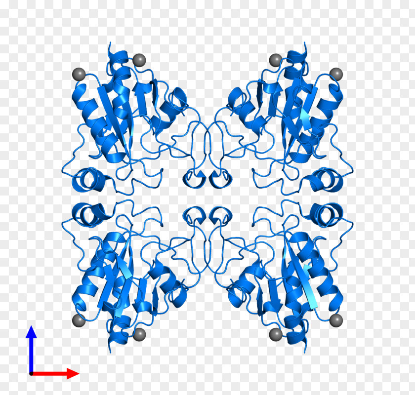 Glutathione Peroxidase Human Behavior Organism Point Clip Art PNG