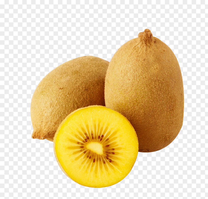 Kiwi Kiwifruit Actinidia Chinensis Zhouzhi County PNG