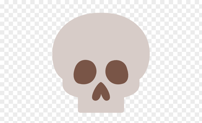 Skull Bone Crossword Quiz Human Skeleton PNG