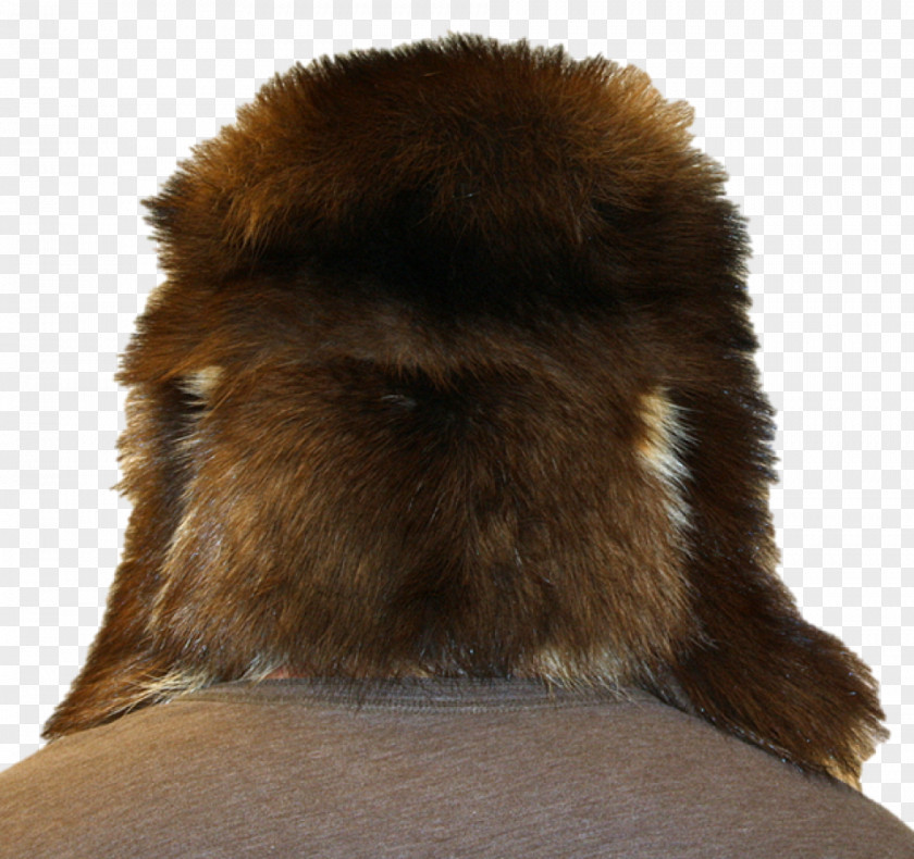 Snout Fur PNG