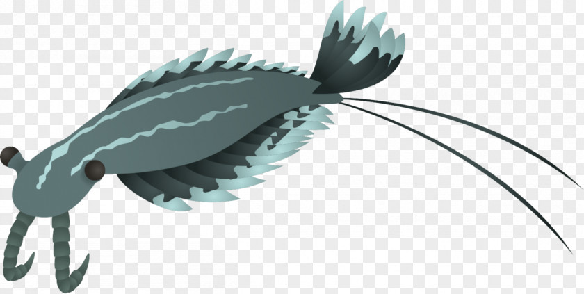 Tell Clipart DeviantArt Digital Art Anomalocaris PNG