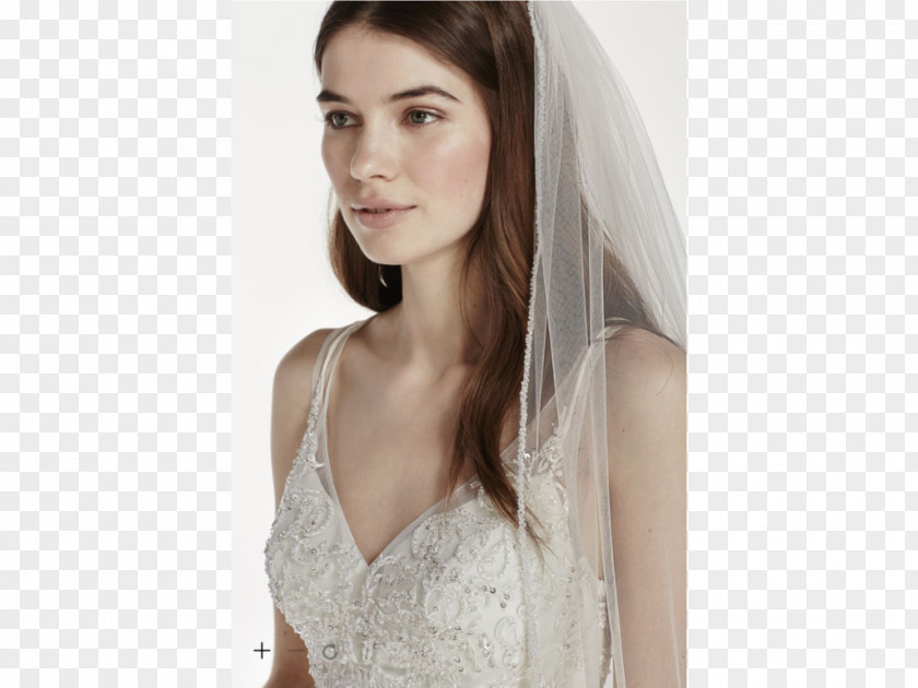 Veils Wedding Dress Bride Veil David's Bridal PNG