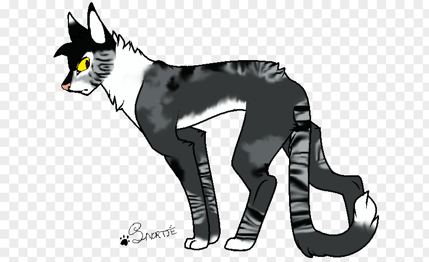 Cat Dog Horse Cartoon PNG