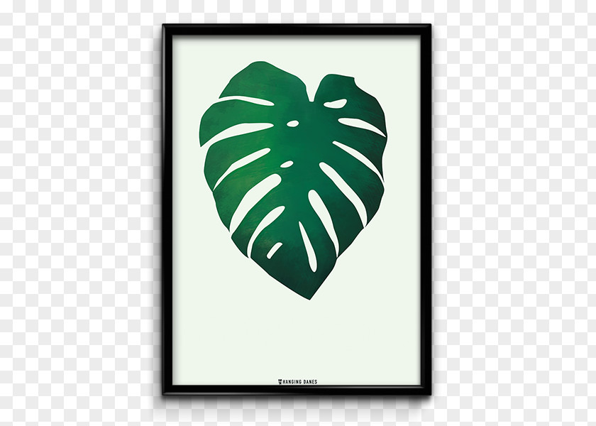 Monstera Swiss Cheese Plant Denmark Poster PNG