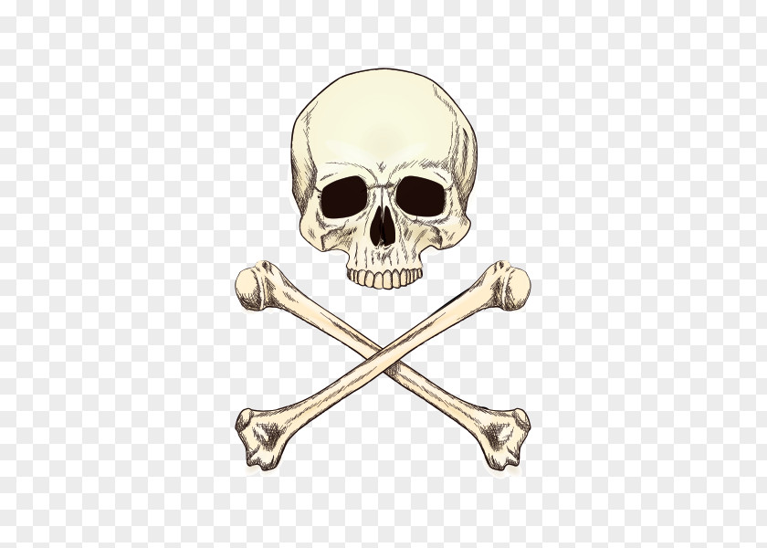 Skull And Bones Crossbones Clip Stock Illustration Drawing Vector Graphics PNG