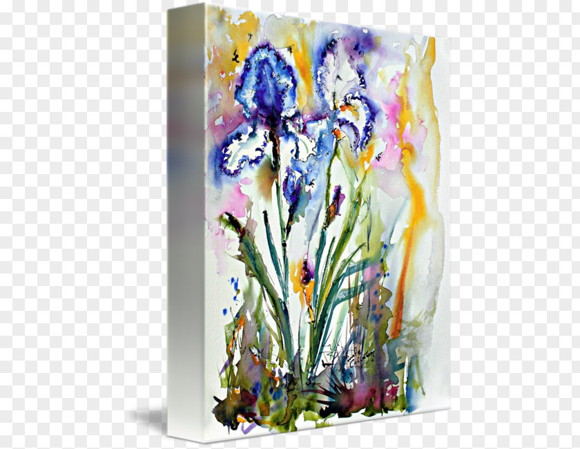 Watercolor Iris Floral Design Painting Gallery Wrap PNG