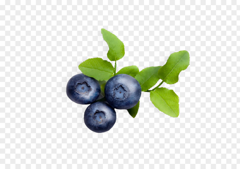 Blueberry Juice Varenye Tea Bilberry PNG
