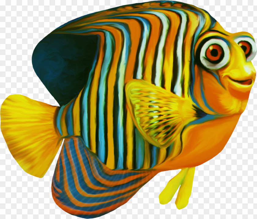 Fish Clownfish Nemo PNG