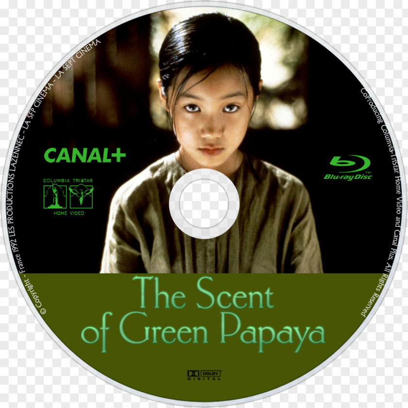 Green Papaya The Scent Of Mui Film Vietnam Lu Man San PNG