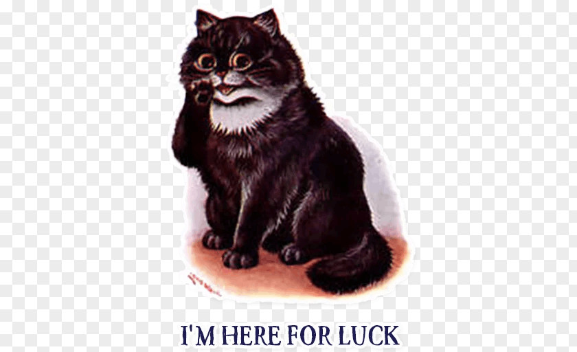 Kitten Black Cat Manx Domestic Short-haired Whiskers PNG