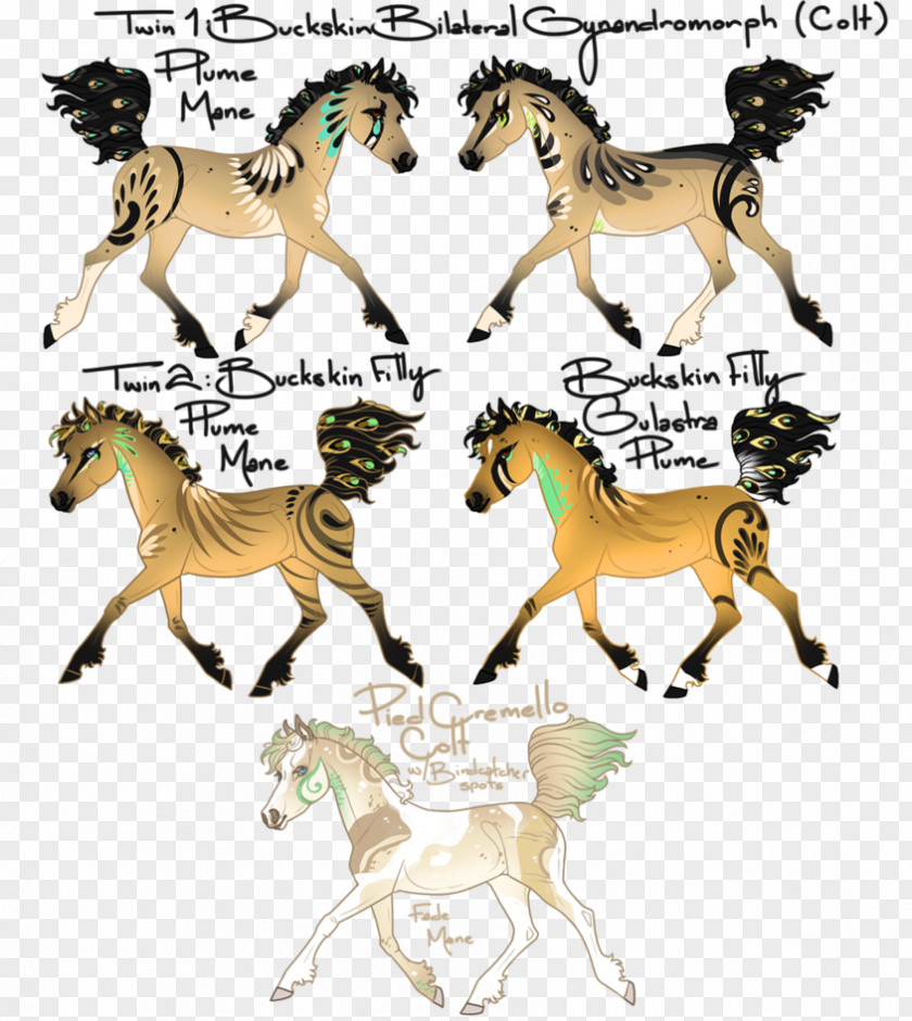 Mustang Stallion Colt Pony Mane PNG