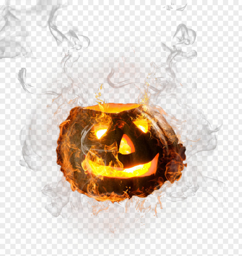 Pumpkin Lantern Halloween PNG