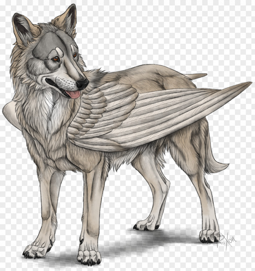 Riddles Legendary Creature Dog Greek Mythology Chimera PNG
