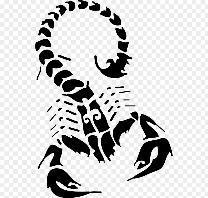 Scorpion Tattoo Flash Clip Art PNG