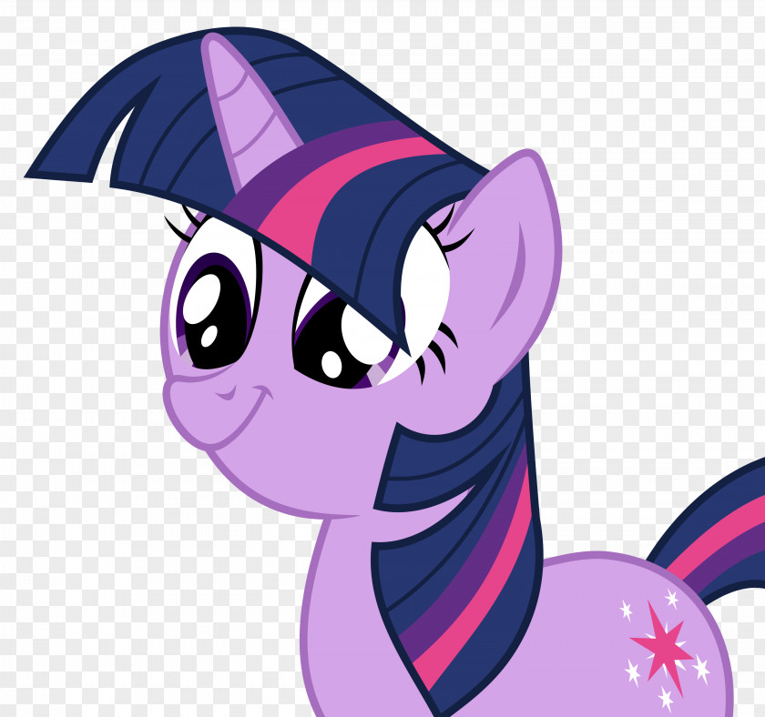 Unicorn Horn Twilight Sparkle Rainbow Dash Pony Princess Cadance Celestia PNG